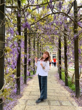 草さんのコーディネート