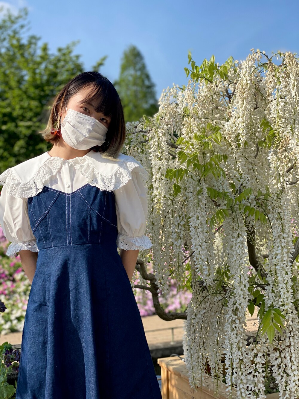 「ごきげんウィーク、春夏コーデ、休日スタイル、ネモフィラ」｜「AllamandaのアソートBIGレース襟／ブラウス（シャツ/ブラウス、ホワイト系）」を使った、xphyllisxさん（レディース・158cm）の春コーディネートの1枚目の写真