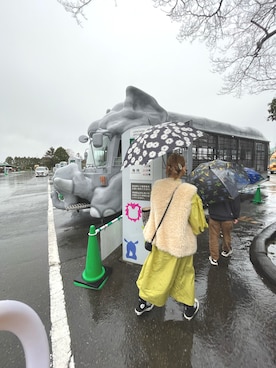 「ピスタチオ」｜「アイテム（その他アウター）」を使った、saoさん（レディース・156cm）の春コーディネート