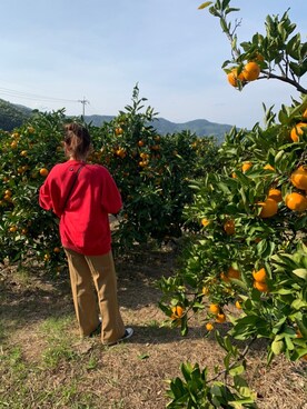 maoさんのコーディネート