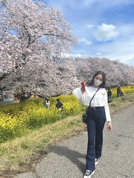 のあさんのコーディネート