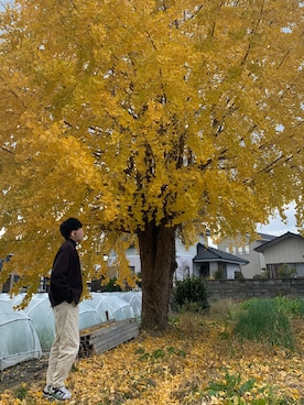 らんさんのコーディネート