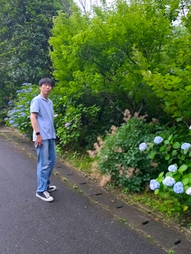 「Levi's（リーバイス）のアイテム（パンツ）」を使った、taka4さん（メンズ・183cm）の夏コーディネート