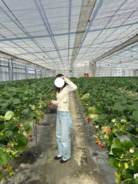 「UNIQLO（ユニクロ）のアイテム（デニムパンツ、ブルー系）」を使った、mmmさん（レディース・155cm）の春コーディネート