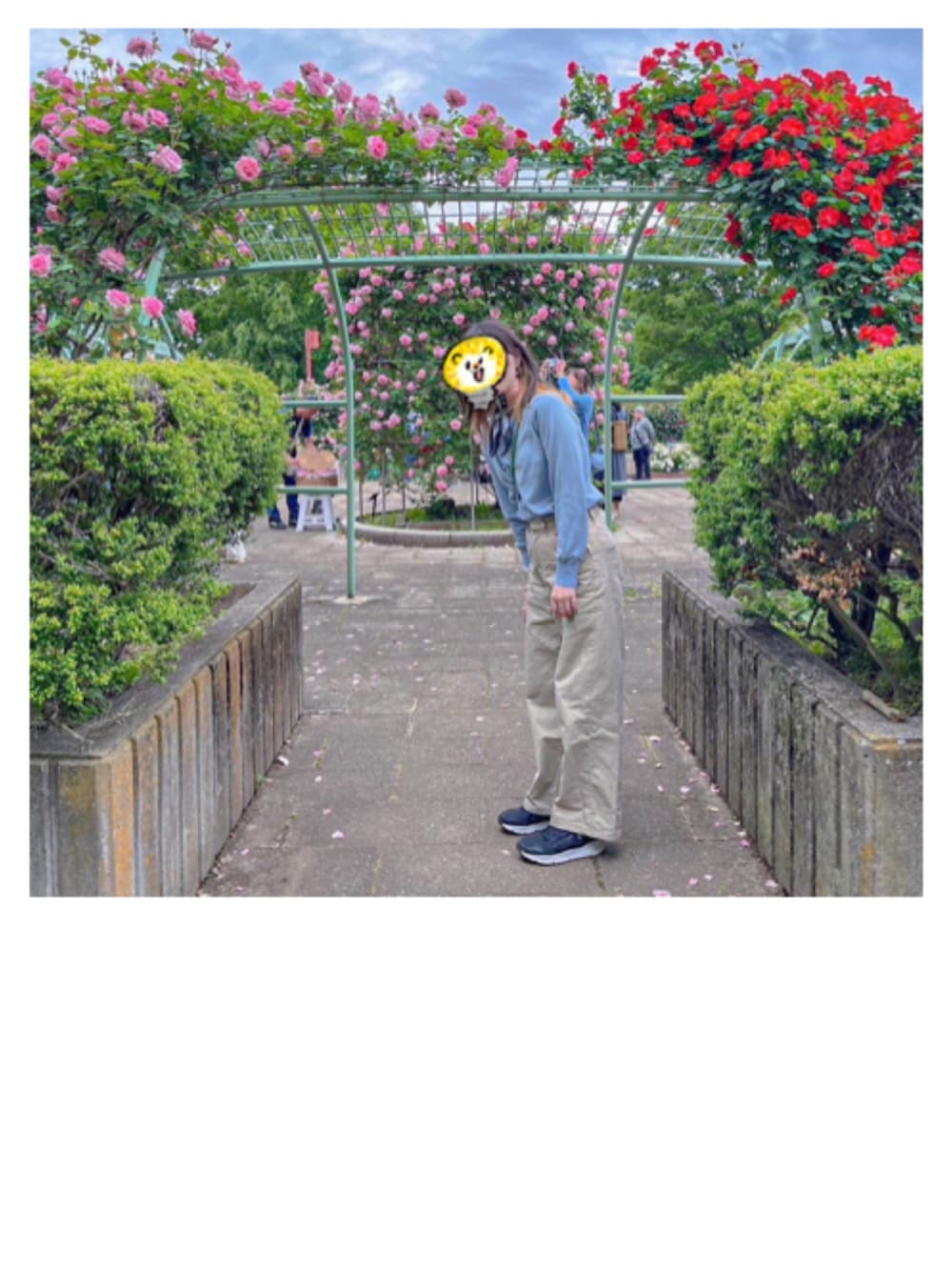 「IENAのチノトラウザーズパンツ◆（チノパンツ、ベージュ系）」を使った、○△□さん（レディース・154cm）の春コーディネートの1枚目の写真