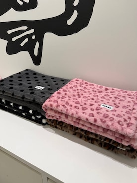 「アイテム（インテリア）」を使った、はるはる(ALAND)さん（レディース・165cm）の秋コーディネート
