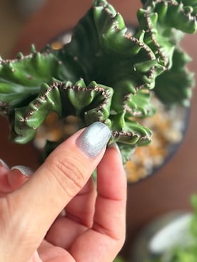 oisoさん（レディース・153cm）の秋コーディネート