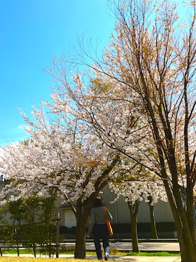 KANOさんのコーディネート