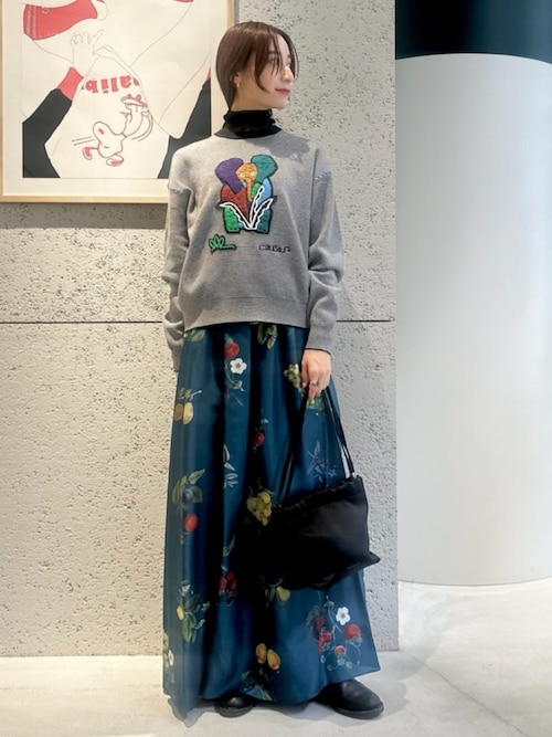 CABaN コットンナイロン シアータートルネックプルオーバー
