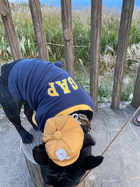 imrodneyさんのコーディネート