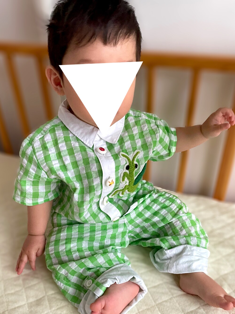「真夏のアクティブスタイル、夏コーデ、むすこーで、チェック、おとこのこ、生後11ヶ月、０歳、男の子ベビー、ベビーコーデ、インセクトコレクション、セットアップ、グリーン、おとこのこーで」｜「INSECT COLLECTIONのアイテム（シャツ/ブラウス、グリーン系）」を使った、𝚖𝚒𝚣𝚞☻︎　  さん（キッズ・70cm）の夏コーディネートの1枚目の写真