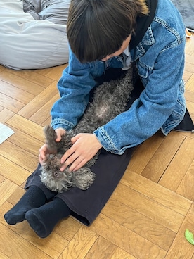 「GAP（ギャップ）のアイテム（デニムジャケット）」を使った、おおおさん（メンズ・168cm）の春コーディネート