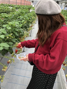 m.さんのコーディネート