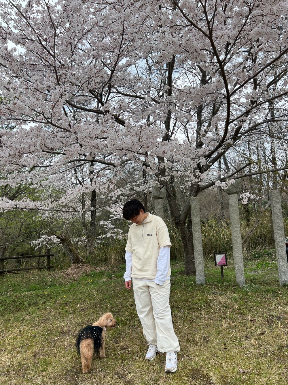 「CIAOPANICのアイテム（Tシャツ/カットソー、ベージュ系）」を使った、inbarさん（メンズ・170cm）の春コーディネートの1枚目の写真