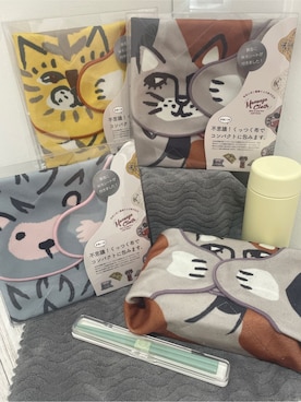 「212 KITCHEN STORE（トゥワントゥキッチンストア）のモモンガ 保冷くっつきクロス ミケ（キッチンツール、その他）」を使った、まのちゃんさん（レディース・160cm）の秋コーディネート