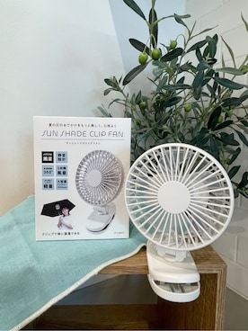 「212 KITCHEN STORE（トゥワントゥキッチンストア）の◆Wpc. 遮光クラシックフリル BK 日傘/長傘（長傘、その他）」を使った、まのちゃんさん（レディース・160cm）の春コーディネート