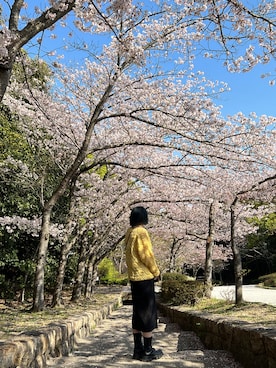 「SPINNS（スピンズ）のアイテム（ワンピース）」を使った、蓮さん（レディース・163cm）の春コーディネート