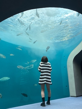 蓮さんのコーディネート