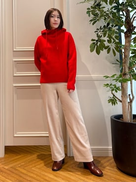 「DRESSTERIOR（ドレステリア）のアイテム」を使った、DRESSTERIORさん（レディース・160cm）の秋コーディネート