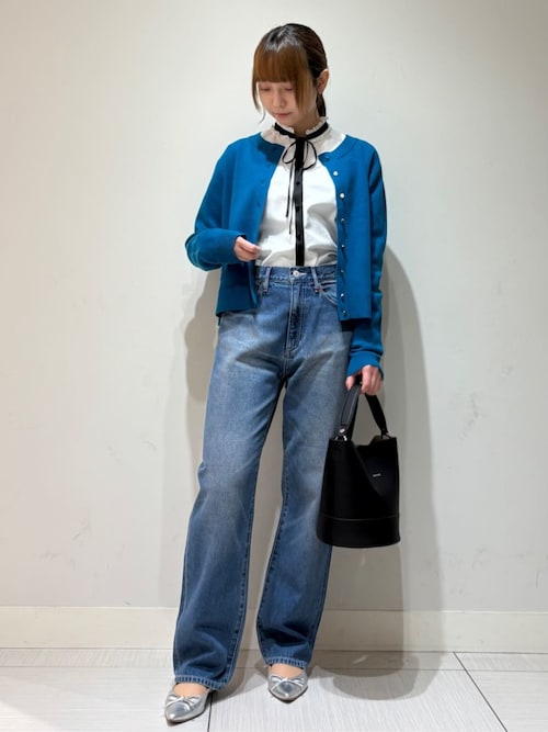 DRESSTERIOR（ドレステリア） ブラウス シャツ 「洗える/コットン100