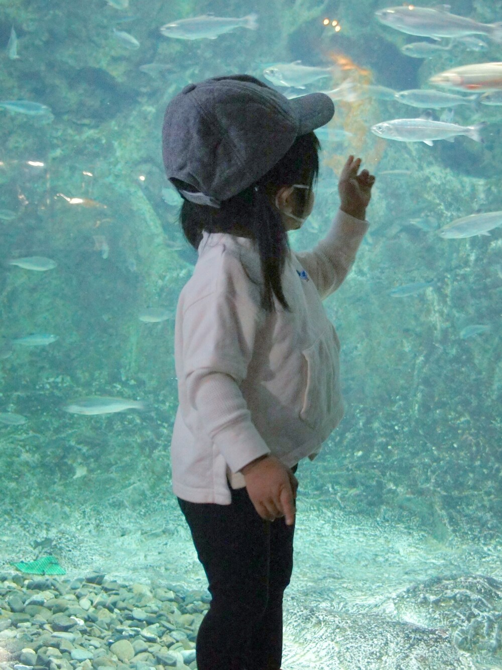 「お塩、お塩のお服、北海道、ユニクロ、ユニクロコーデ、秋コーデ、秋服、キッズファッション、3歳、おんなのこ」｜「UNIQLOのGIRLS ウルトラストレッチレギンスパンツ（その他パンツ、ブラック系）」を使った、お塩さん（キッズ・90cm）の秋コーディネートの1枚目の写真