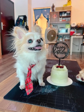 🅿🅴🆃🅻🅾🆅🅴🆁 さんのコーディネート