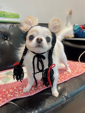 🅿🅴🆃🅻🅾🆅🅴🆁 さんのコーディネート