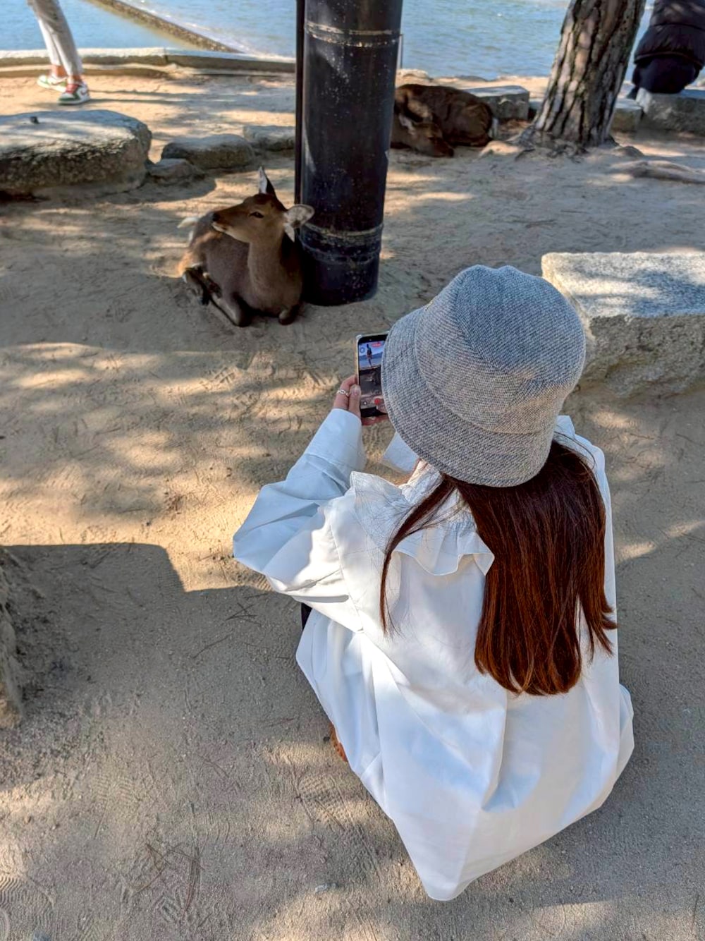 ブラック系のその他パンツ、その他のスニーカー、ホワイト系のシャツ/ブラウスを着用したレディースの秋コーディネートの1枚目の写真