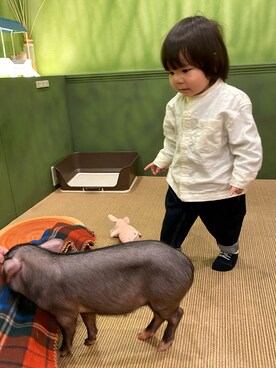 haruruwearさんのコーディネート