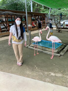 honoka1912さんのコーディネート