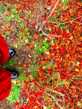 スエノさん（メンズ・174cm）の秋コーディネート