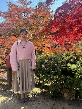 「アイテム（スカート）」を使った、あいわにさん（レディース・152cm・40代）の冬コーディネート