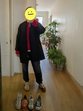 「アイテム（ノーカラーコート）」を使った、wearradlさん（レディース・163cm）の秋コーディネート