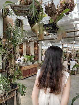 Cさんのコーディネート