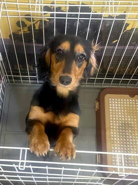 バルサさんのコーディネート