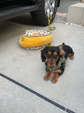 バルサさんのコーディネート