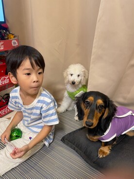 バルサさんのコーディネート