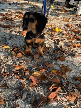 バルサさんのコーディネート