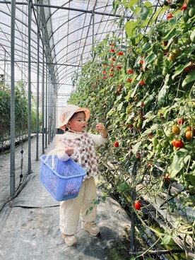 Qinyu.Hさんのコーディネート