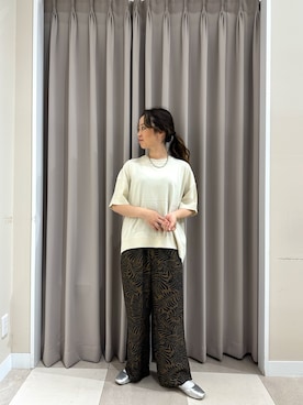 「ITEMS URBANRESEARCH（アイテムズ アーバンリサーチ）の『洗濯可』ニットTシャツ（ニット/セーター、ホワイト系）」を使った、zuu17さん（レディース・157cm）の夏コーディネート