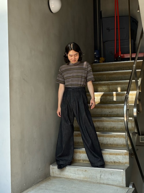 Toironier/トワロニエ/Denim 2Tuck Side Tuck Pants
