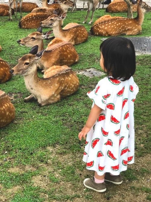 まるこさんのコーディネート