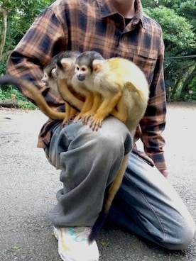 dokさん（メンズ・175cm）の秋コーディネート