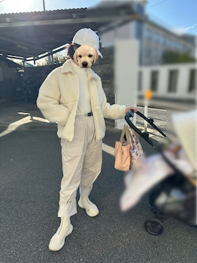 「アイテム（キャップ）」を使った、ぺさん（レディース・161cm・20代）の秋コーディネート