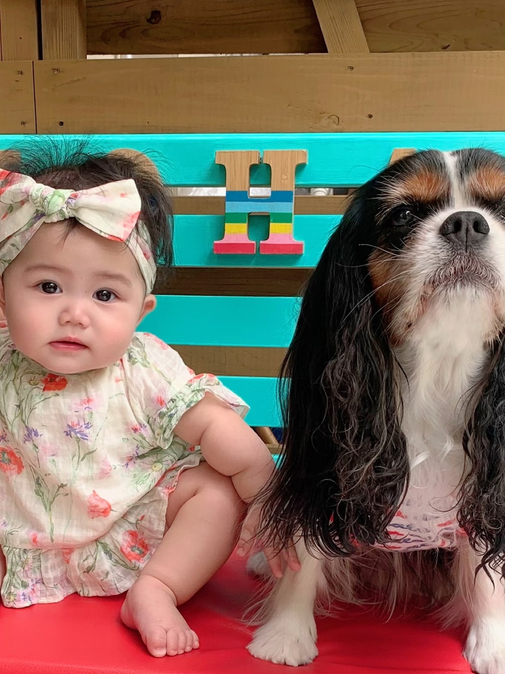 「babygap、ベビーギャップ、女の子ベビー、ベビーファッション」｜「babyGAPのアイテム（ワンピース/ドレス、ホワイト系）」を使った、jinmamaさん（レディース・152cm）の秋コーディネートの1枚目の写真