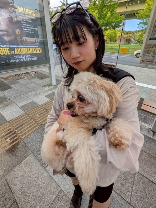 MADE] フレンヌバンディングショートパンツ（その他パンツ