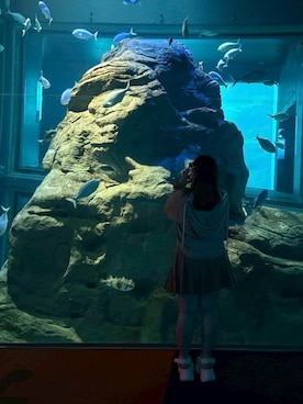 🎀さんのコーディネート