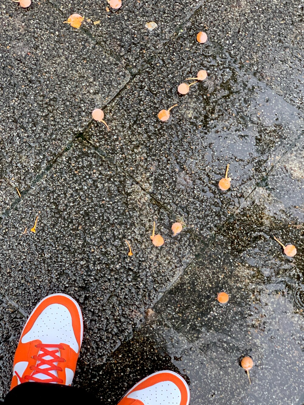 「NIKEのアイテム（スニーカー、オレンジ系）」を使った、Nhvxxcさん（レディース・173cm）の秋コーディネートの1枚目の写真