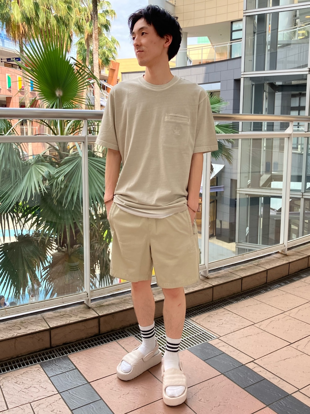 adidas Originals エッセンシャル トレフォイル ショーツ 送関込 Amazon | adidas Originals,mens,Trefoil Essentials Shorts