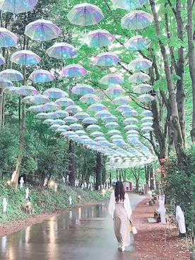 chi903さんのコーディネート